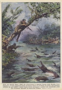 In Their March Along the Rivers Crossing the Vast Forests of Malaysia