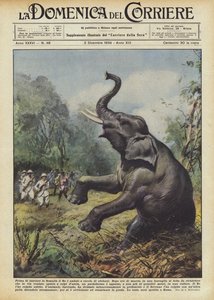 Before Leaving Somalia, the King Went Elephant Hunting
