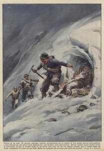Saved by a Dog