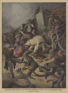 Sensational Train Collision, Escape of Wild Beasts, Especially Reptiles by Achille Beltrame