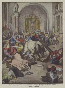 Bull on the Run Enters a Church in Tarragona (Spain) During Mass