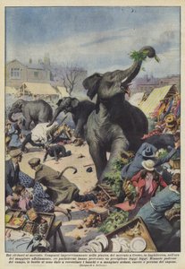 Three Elephants at the Market