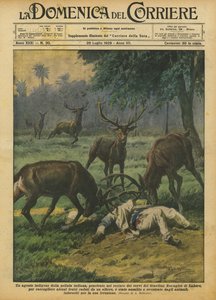An Indigenous Indian Police Officer Entered the Deer Enclosure of the Zoological Garden?