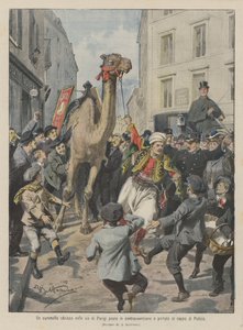 A Drunk Camel in the Streets of Paris Fined and Taken to the Police Station