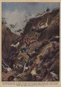 A Ground Collapse Due to Rains Opened a Deep Chasm Underfoot