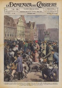 A New Kind of Rally