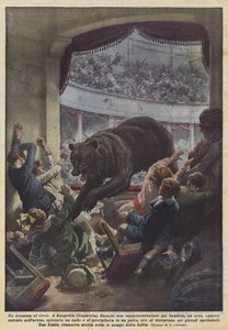 A Drama at the Circus