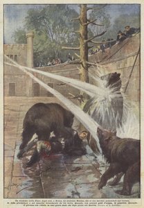 A Drama in the Bear Pit in Bern