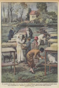 A Different Kind of Hospital by Achille Beltrame