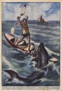 A Battle with a Shark