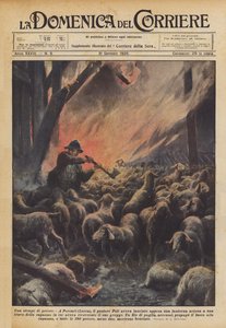 A Massacre of Sheep
