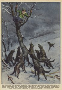 A Serbian Student Noticed, During a Mountain Trip, the Proximity of a Pack