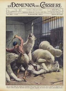 A Terrible Fight Over Jealousy Broke Out in the Bear Cage of a Circus in Genoa