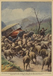 A Massacre of Sheep Occurred on the Road Connecting Bra to Alba in the Province of Cuneo