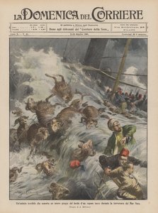 A Terrible Wave Sweeps Away an Entire Flock from the Deck of a Turkish Steamer During the Black Sea Crossing