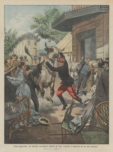 Unexpected visit, a general military governor of Toul forced to defend himself from an enraged bull