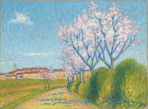 Trees in Bloom at the Entrance of Cailhavel