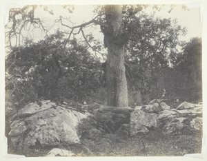 Forest and Rocks, Fontainebleau by Achille Quinet