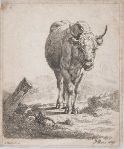 A Cow, Seen from the Front, 1805 by Adam von Bartsch