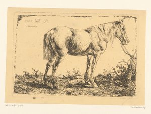 Horse by a tree