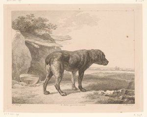 Standing Dog in a Landscape (Animals after Paintings by Dutch Masters) by Adam von Bartsch