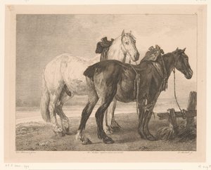 Two Horses in River Landscape by Adam von Bartsch