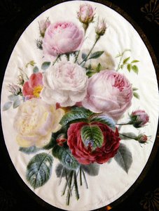 Study of roses