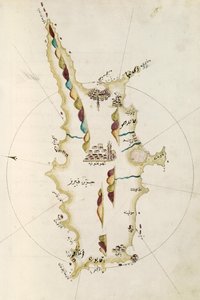 Map of Island of Cyprus by Admiral Piri Reis