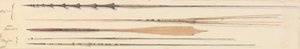 Spears from Fiji and New Hebrides