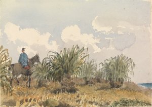 Tussac Grass, Falkland Islands by Admiral Sir Edward Gennys Fanshawe