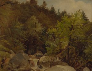 Waterfall near Ohlstadt by Adolf Heinrich Lier