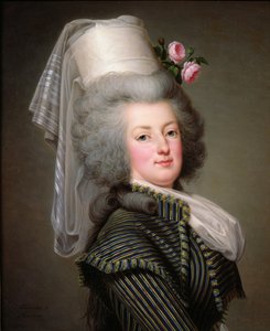 Marie-Antoinette of Habsbourg-Lorraine, Archduchess of Austria, Queen of France and Navarre, 1788 by Adolf Ulrich Wertmuller