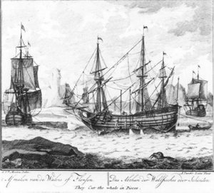Finishing the Whale or Flensing (No. 8 from the Whaling Series)