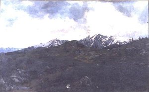 In Alpine Pastures