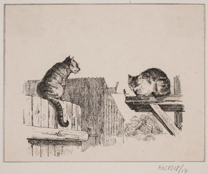 The Two Cats