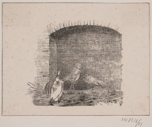 The Chickens and the Ducks