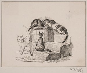The Cats