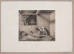 Two Calves by Johan Adolph Kittendorff