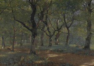 Inside the Forest