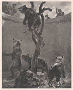 Bear Pit in Zoo