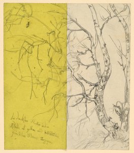 Birch Grove by Adolph Menzel