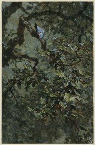 The Blue Woodpecker in the Foliage. From the "Children