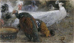 The White Peacock with Turkey Hen and Chickens. From the 