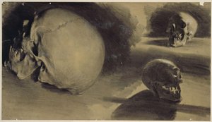 Three Views of a Skull by Adolph Menzel