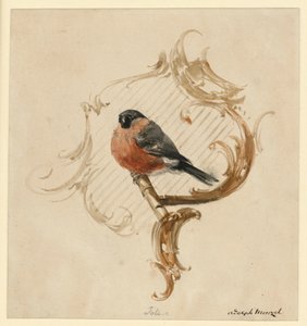 A Bullfinch on a Perch before Rocaille by Adolph Menzel