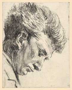 Profile of a Downward Looking Man