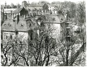 Houses Behind Bare Trees by Adolph Menzel