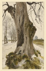 Hollow Tree Stump, with a Group of Trees in the Background by Adolph Menzel