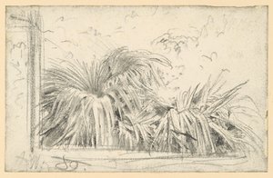 Palm Frond in the Window Frame by Adolph Menzel