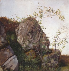 Blooming Wild Rose and Ferns by Adolph Tidemand